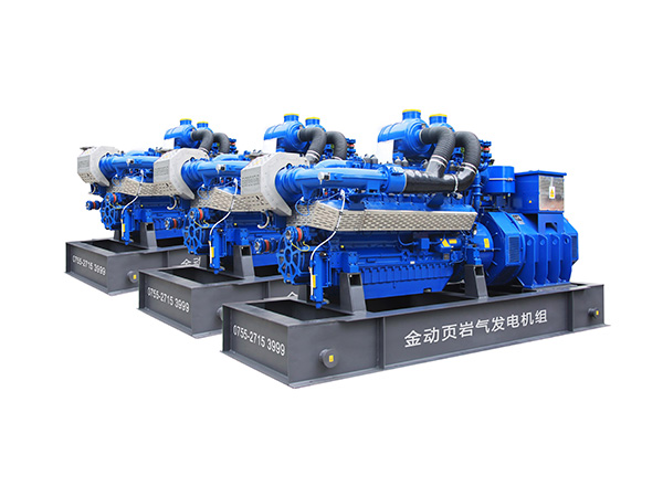 頁巖氣發(fā)電機優(yōu)質(zhì)供應(yīng)商 160KW200KVA卡特曼海姆OEM