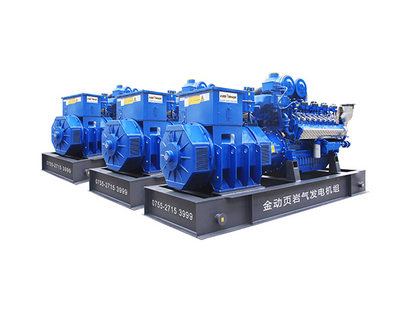 頁巖氣發(fā)電機優(yōu)質(zhì)供應(yīng)商 160KW200KVA卡特曼海姆OEM