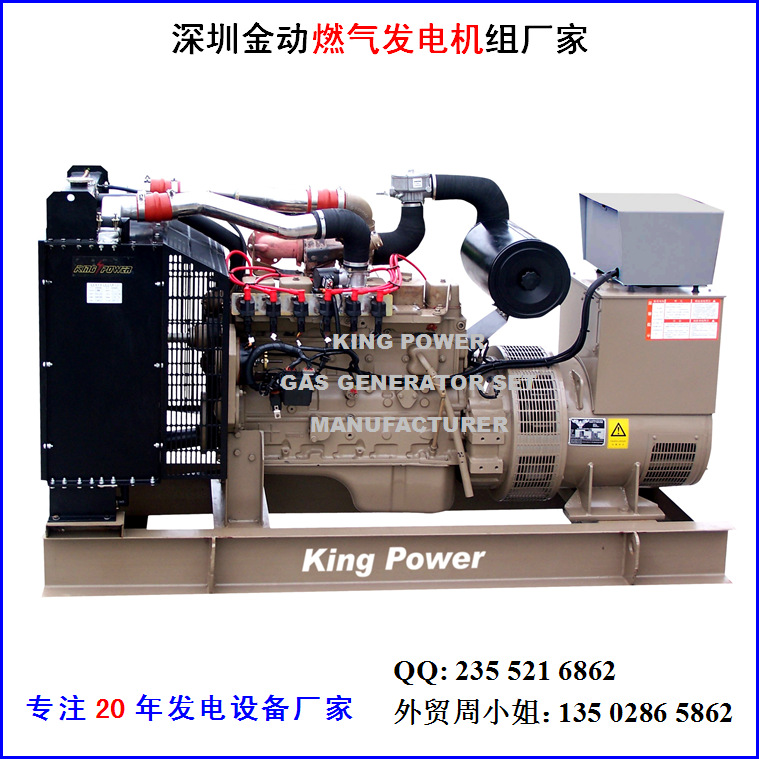 燃?xì)獍l(fā)電機